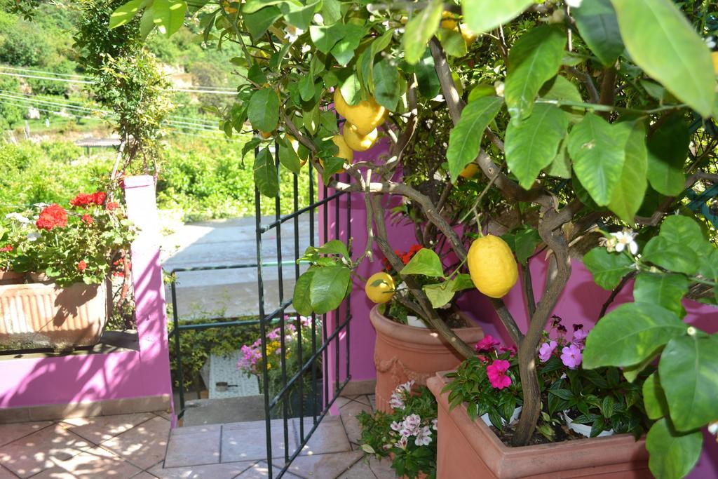 مبيت وإفطار Tovo San Giacomo Casa Nobile المظهر الخارجي الصورة